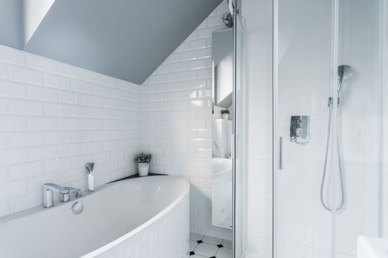 Bathroom Renovation with Bathtubs
